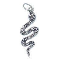 1.5 Inch Silver Snake Amulet for Protection