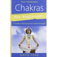 Chakras for Beginners by David Pond