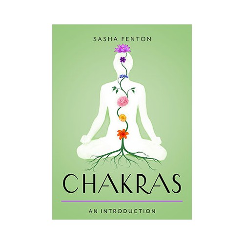 Chakras Introducción Técnicas de Sanación