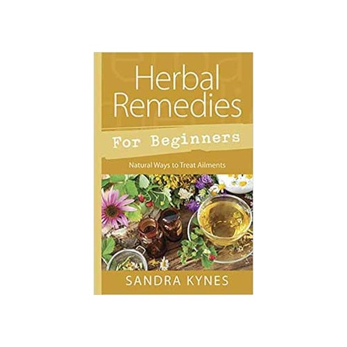 Herb Remedies for Beginners Natural Guide