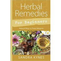 Herb Remedies for Beginners Natural Guide