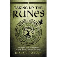 Taking Up the Runes Workbook for Spiritual Insight