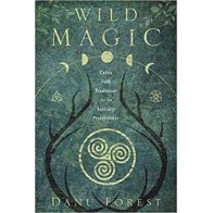 Wild Magic Book by Danu Forest