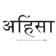 Ahimsa Bumper Sticker for Peace