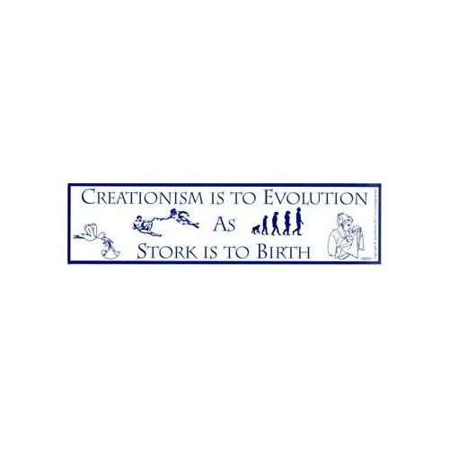 Creationism vs Evolution Bumper Sticker - Thought-Provoking Humor