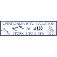 Creationism vs Evolution Bumper Sticker - Thought-Provoking Humor