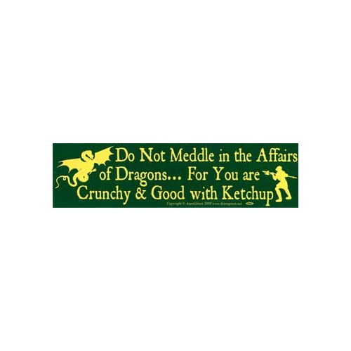 Funny Dragon Sign for Magical Decor