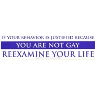 If Your Behavior is Justified Because You Are Not Gay