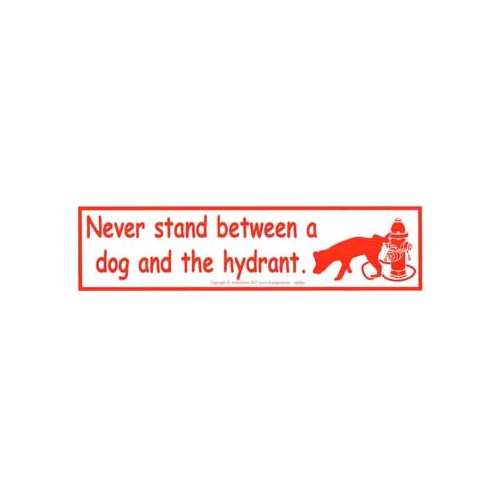 Funny Dog Bumper Sticker