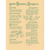 9 Healing Herbs Poster