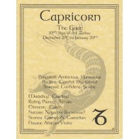 Capricorn Zodiac Poster for Astrology Lovers