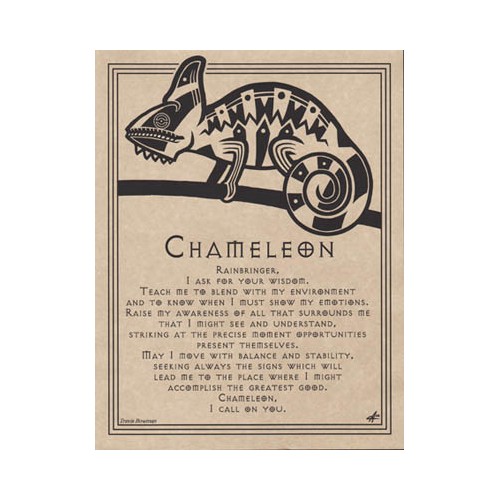 Chameleon Prayer Poster for Transformation