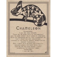 Chameleon Prayer Poster for Transformation