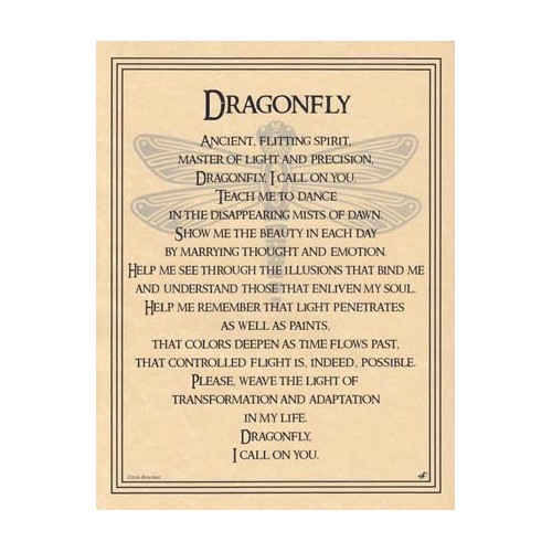 Dragonfly Poster Spiritual Growth Decor