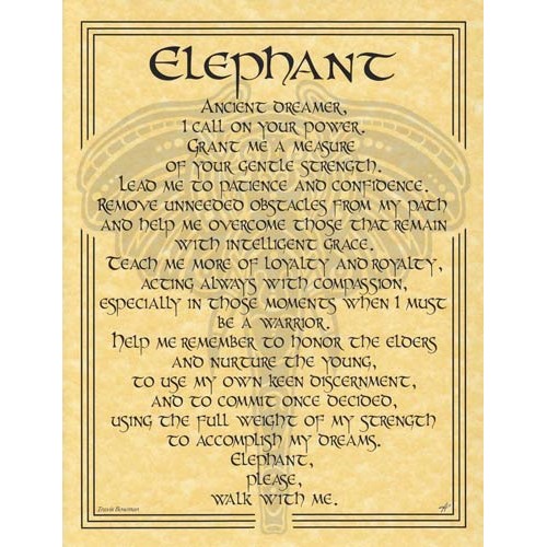 Elephant Prayer Poster for Inspiration