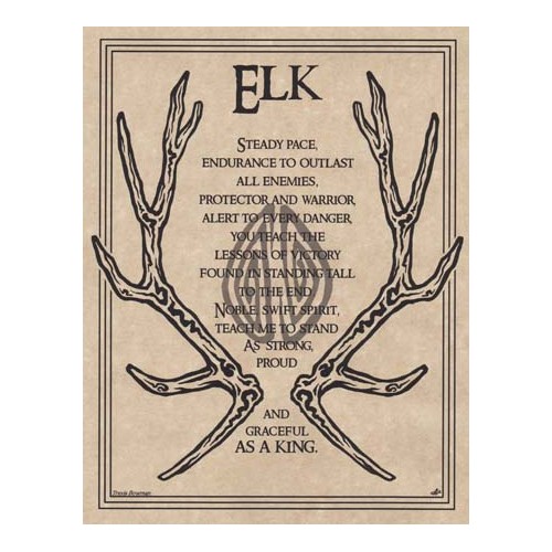 Elk Prayer Poster