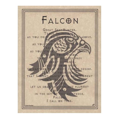 Falcon Prayer Poster 8 1/2" x 11"