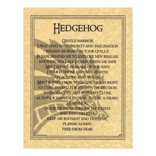 Hedgehog Prayer Poster Inspiration