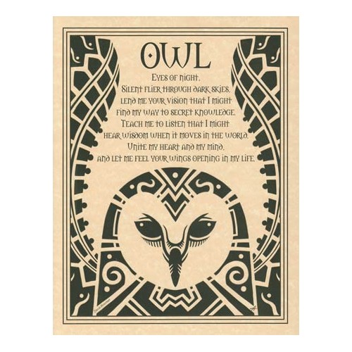 Owl Spirit Poster for Wisdom