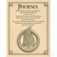 Phoenix Rebirth Inspirational Poster