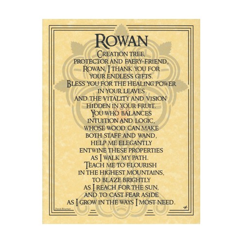 Póster del Árbol de Rowan para Decoración Espiritual