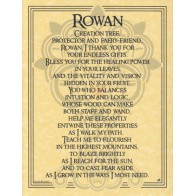 Rowan Tree Poster for Spiritual Decor