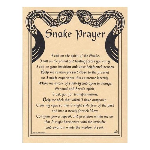 Snake Prayer Poster for Spiritual Guidance