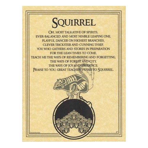 Squirrel Prayer Poster for Nature