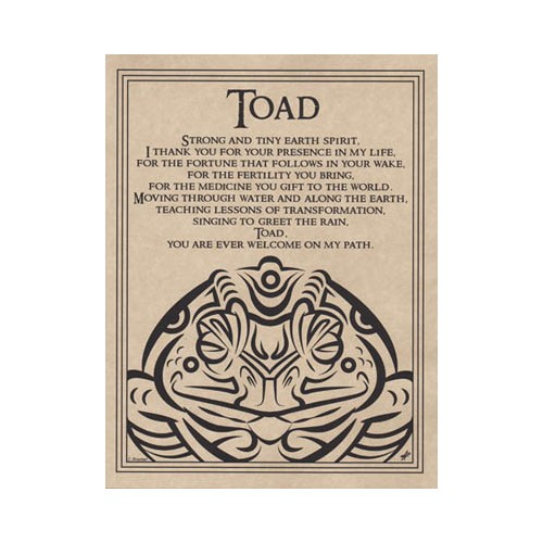 Toad Blessing Poster for Magical Inspiration