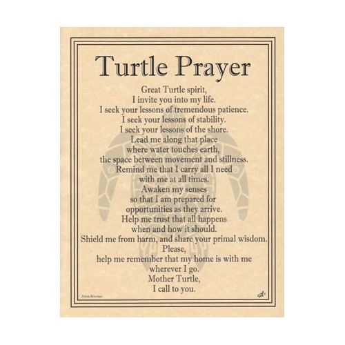 Turtle Prayer Poster for Spiritual Reflection