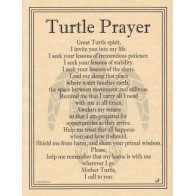 Turtle Prayer Poster for Spiritual Reflection