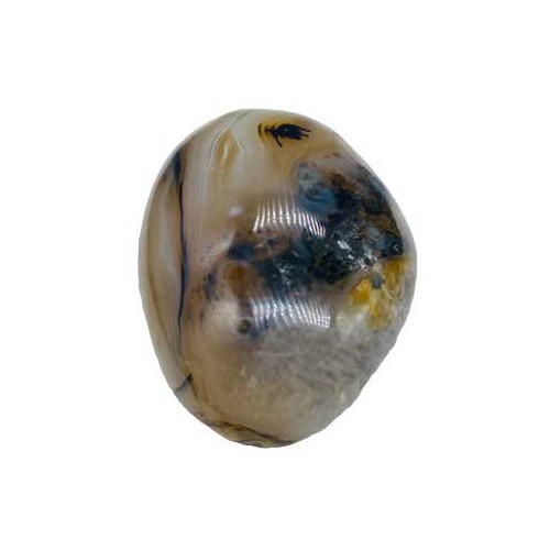 Dendritic Agate Palm Stone for Peace and Grounding