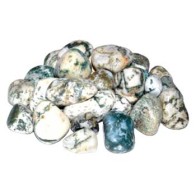 Tree Agate Natural Tumbled Stones