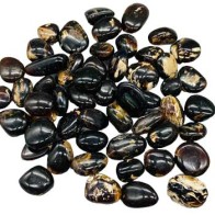 1 lb Zebra Amber Tumbled Stones for Healing