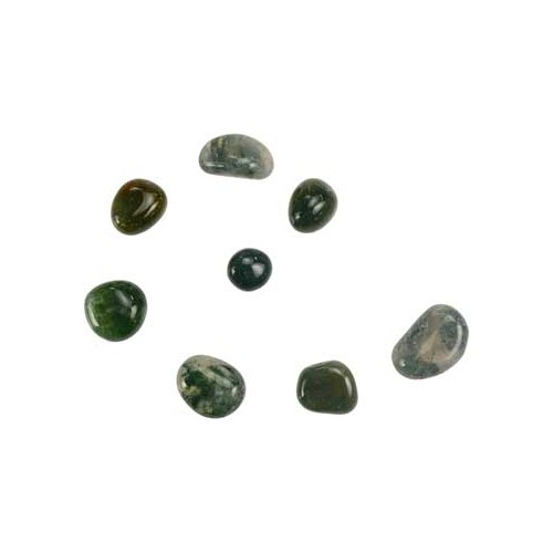 1 lb Tumbled Moss Agate Stones