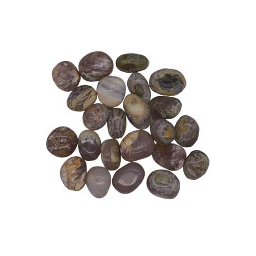 Piedras Tumbled de Madera Petrificada Opalizada 1 lb