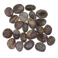 Piedras Tumbled de Madera Petrificada Opalizada 1 lb