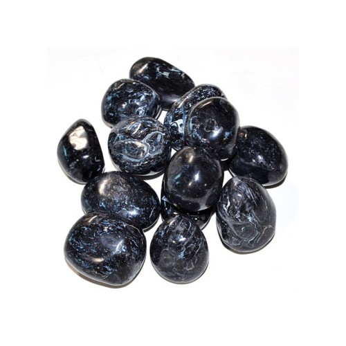 Fossil Stone Tumbled Black 1 lb