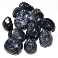 Fossil Stone Tumbled Black 1 lb