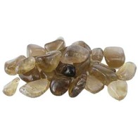 Piedras pulidas de cuarzo ahumado de 1 lb para enraizamiento y protección