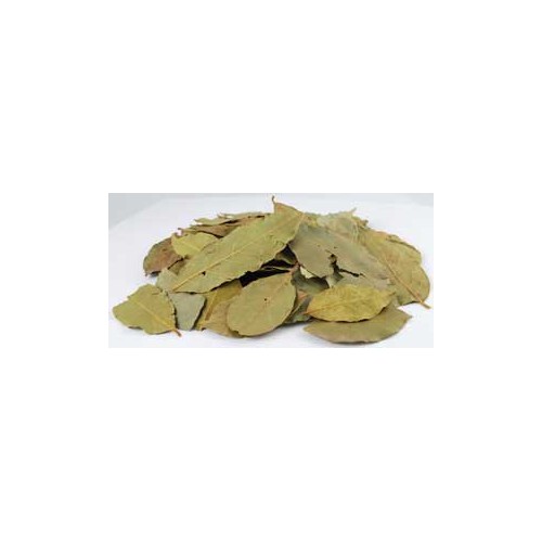 Hojas de Laurel Enteras 1oz Laurus Nobilis