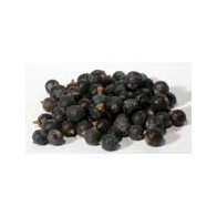 Berries de Junípero enteros 1oz para Magia y Protección