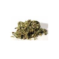 Mugwort Corte 1oz Artemisia Vulgaris