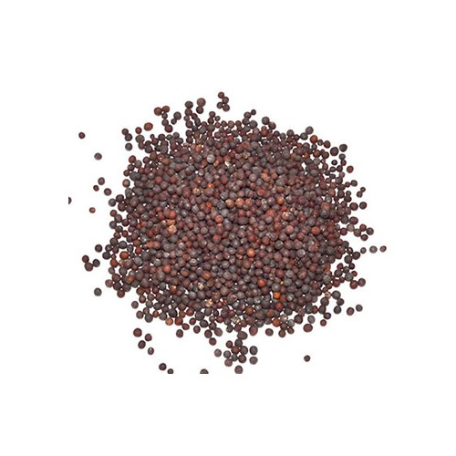 Whole Brown Mustard Seed 1oz - Ancient Spice