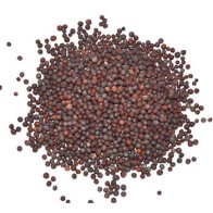 Whole Brown Mustard Seed 1oz - Ancient Spice