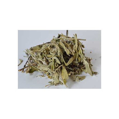 Hoja de Salvia cortada 1oz Salvia officinales