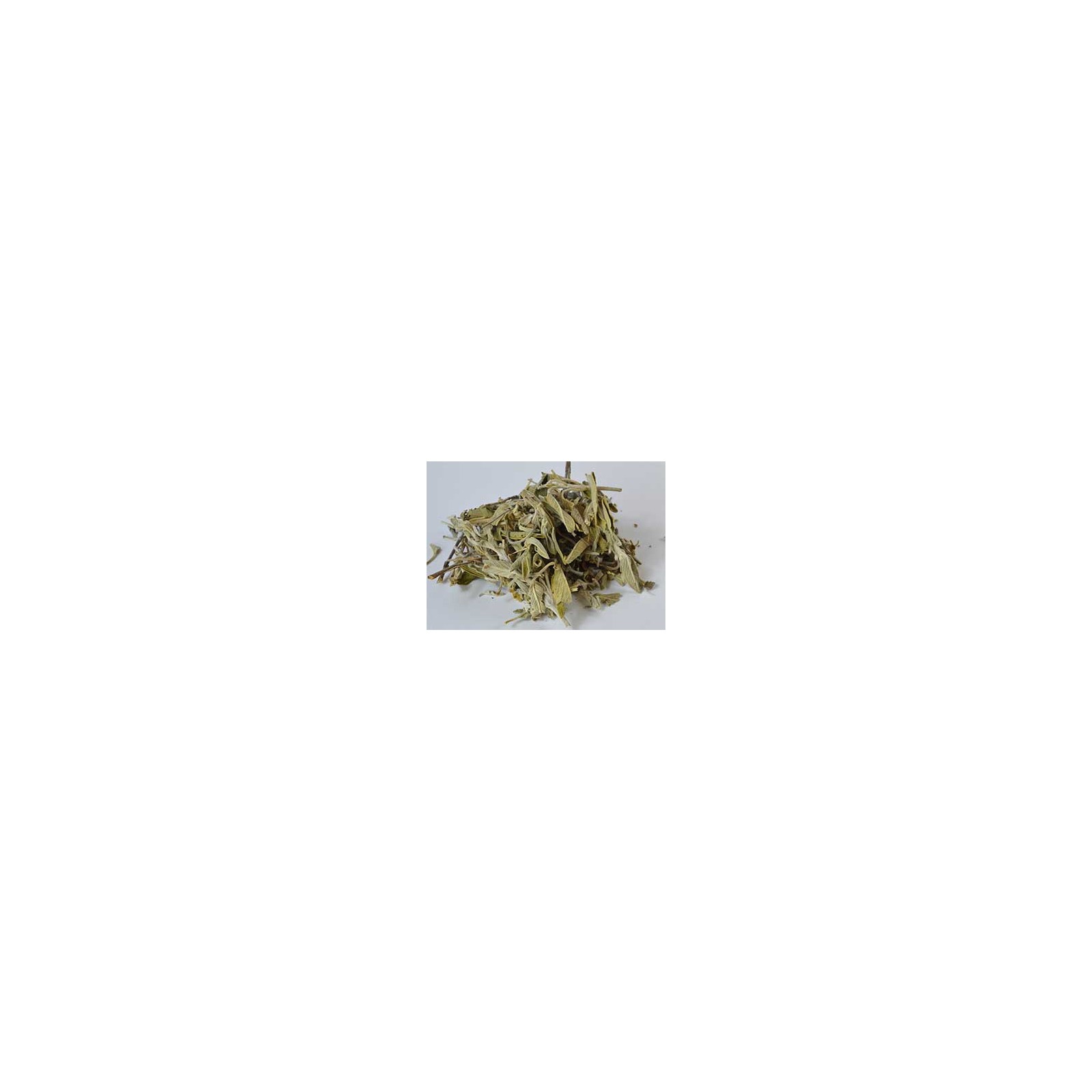 Hoja de Salvia cortada 1oz Salvia officinales