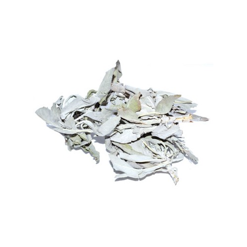 Salvia Blanca 1oz para Limpieza