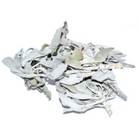 White Sage 1oz for Cleansing