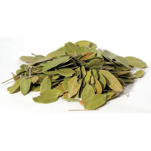 Wild Crafted Bearberry Leaf 1 Pound